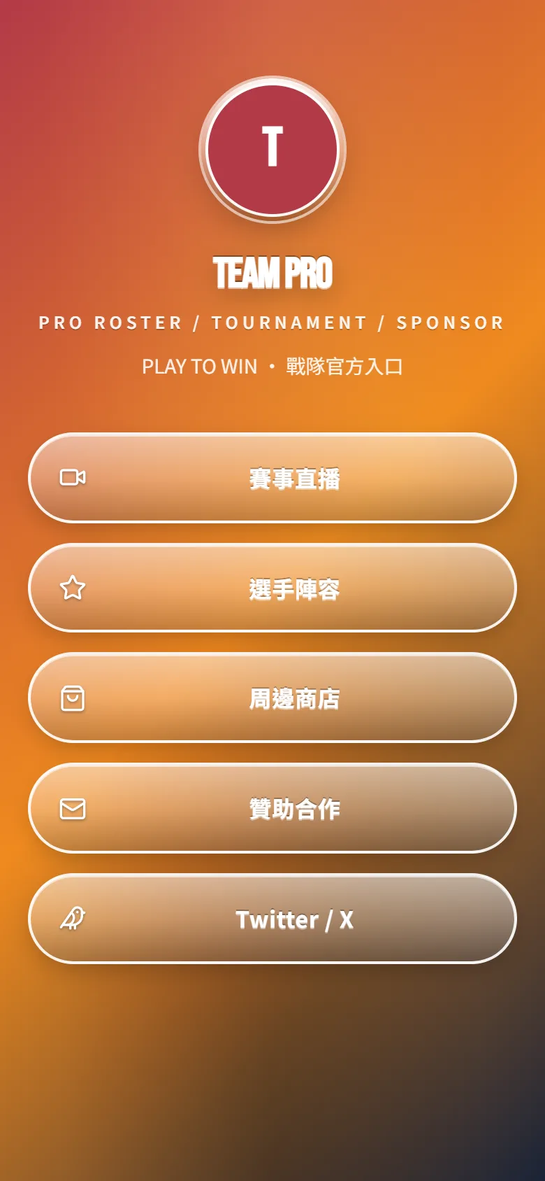 TEAM PRO 模板預覽